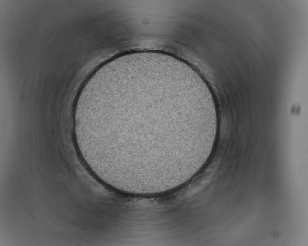 X0000100330673200807031235