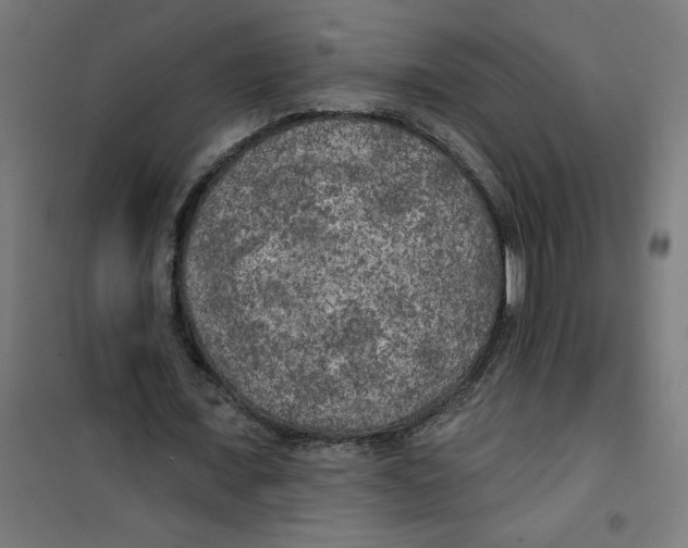 X0000100330675200807031235