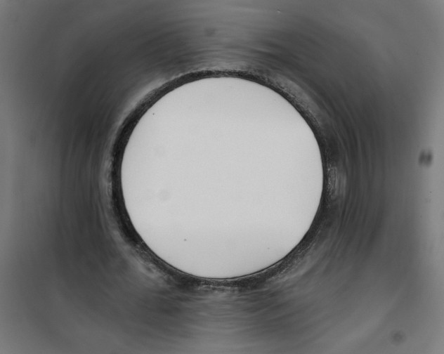 X0000100330676200807031235