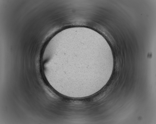 X0000100330677200807031235