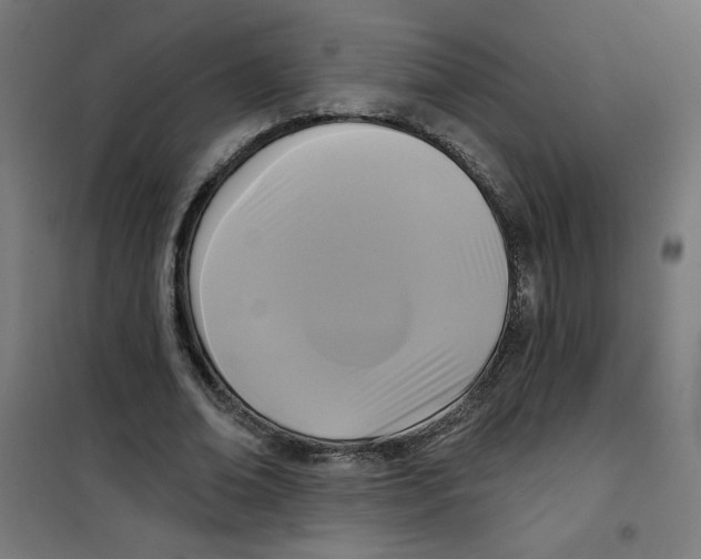 X0000100330678200807031235