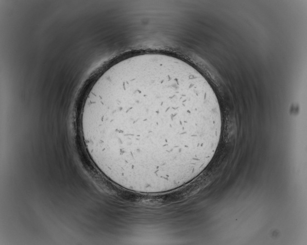 X0000100330680200807031235