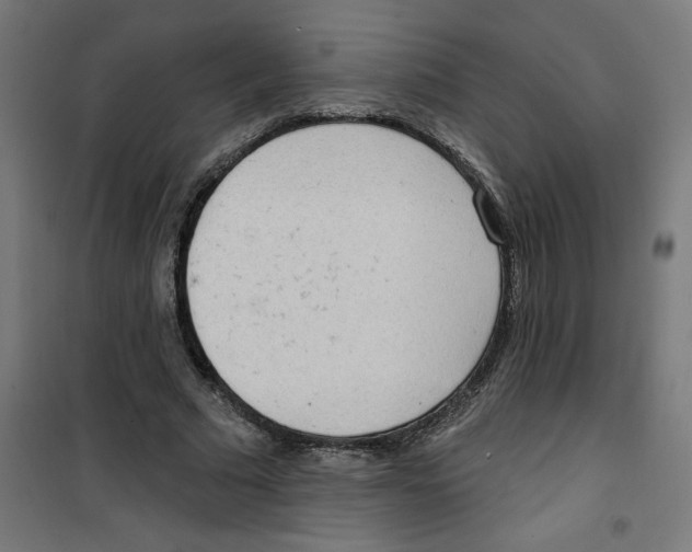 X0000100330681200807031235