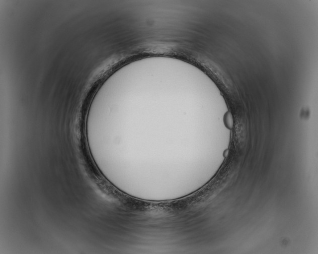 X0000100330682200807031235