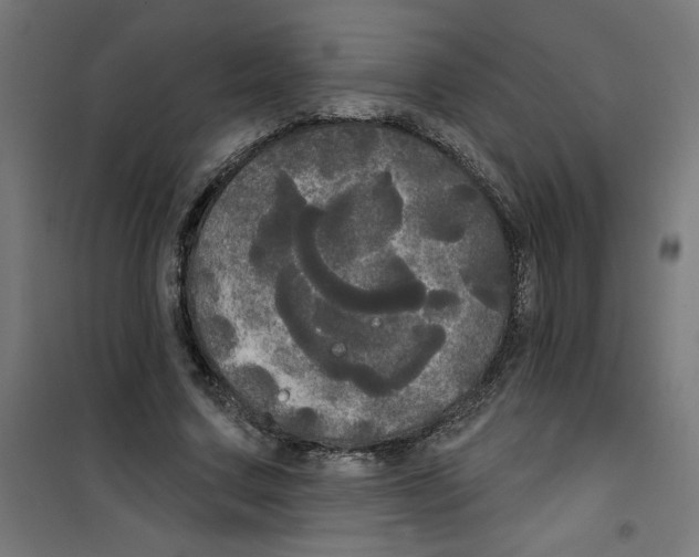 X0000100330683200807031235