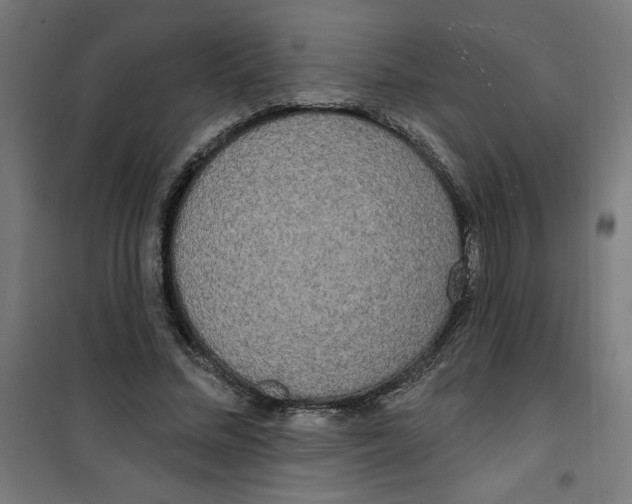 X0000100330684200807031235