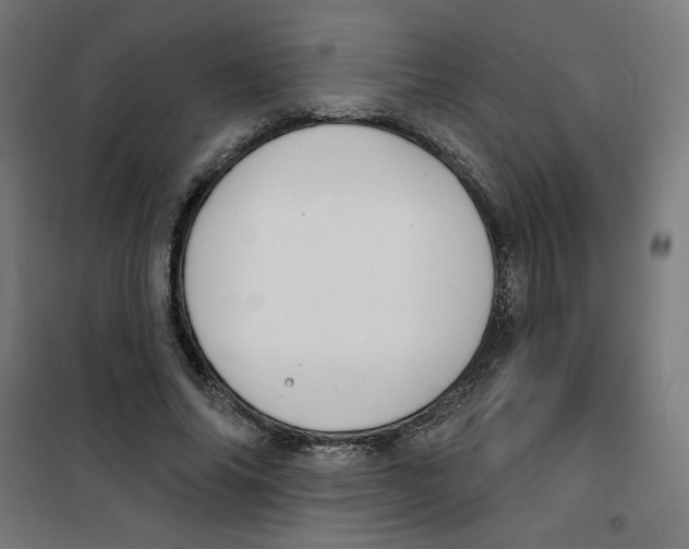 X0000100330686200807031235