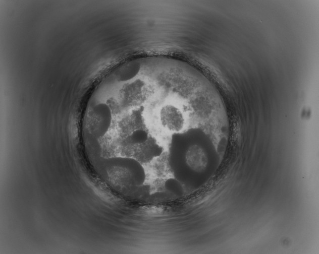 X0000100330687200807031235