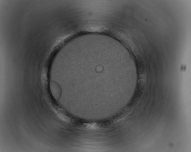 X0000100330688200807031235