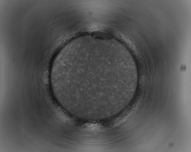 X0000100330689200807031235