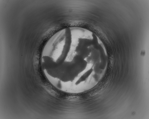 X0000100330691200807031235