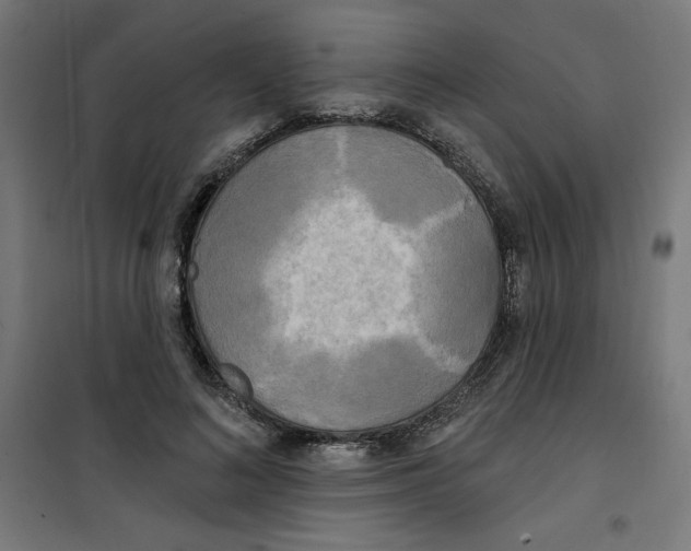 X0000100330692200807031235