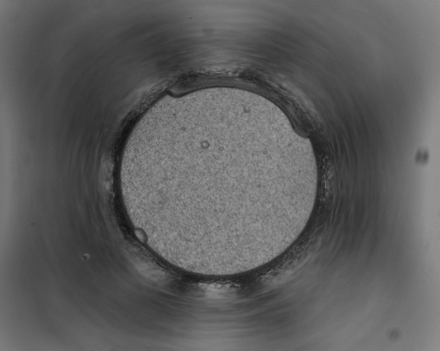 X0000100330693200807031235