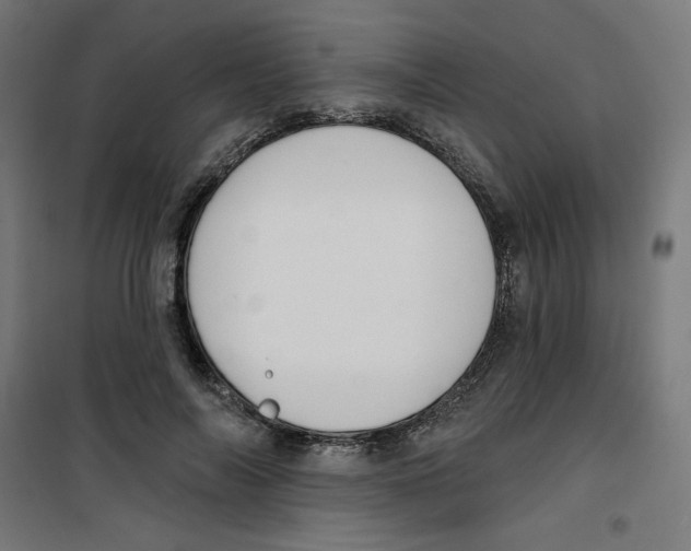 X0000100330694200807031235