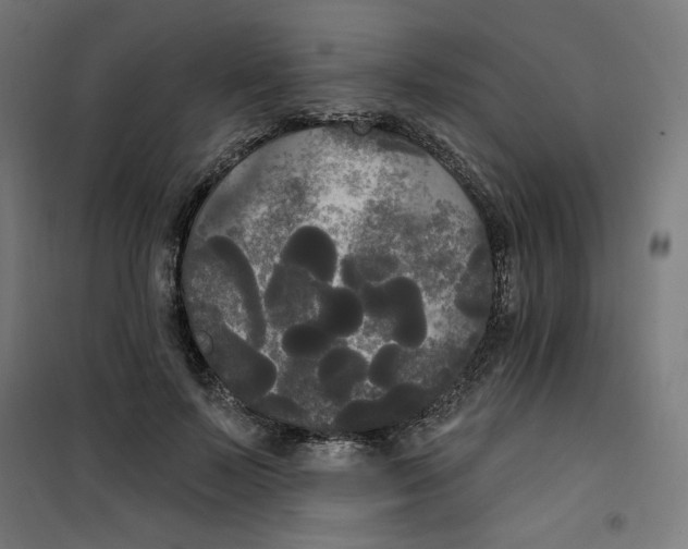 X0000100330695200807031235