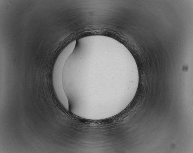 X0000100330697200807031235