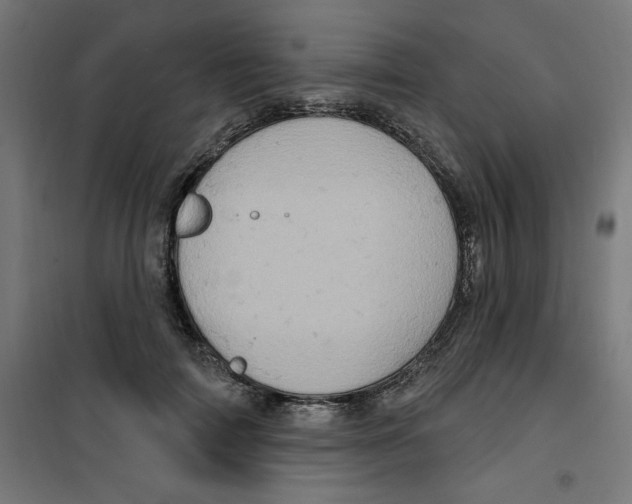 X0000100330698200807031235