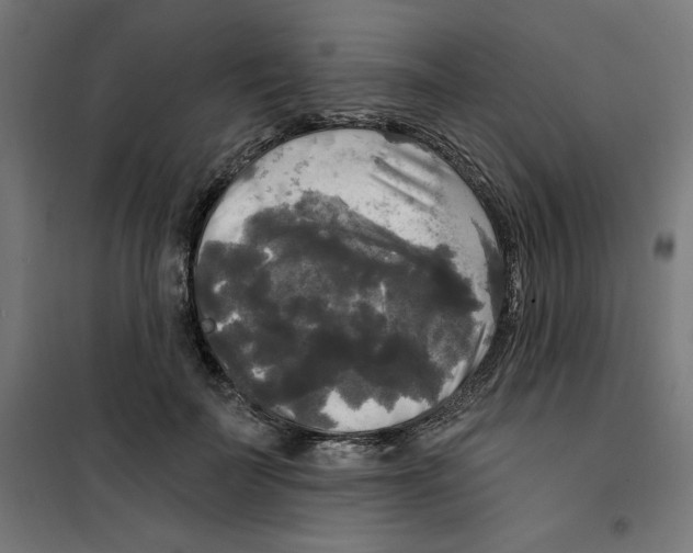 X0000100330699200807031235