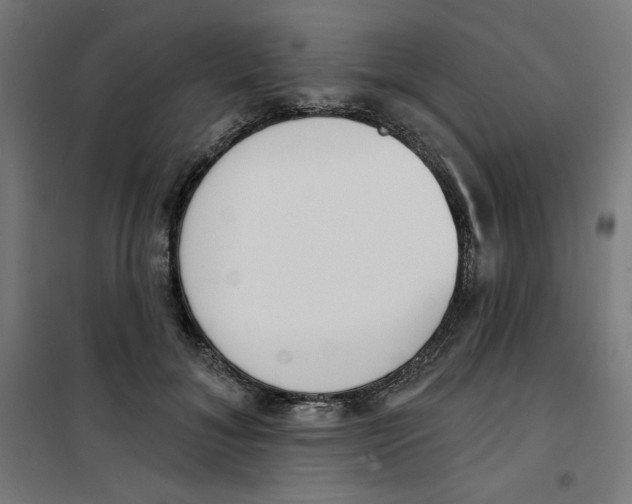 X0000100330700200807031235