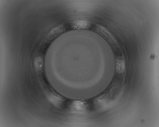 X0000100330701200807031235