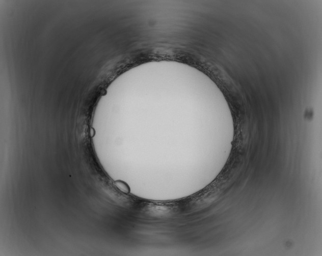 X0000100330706200807031235