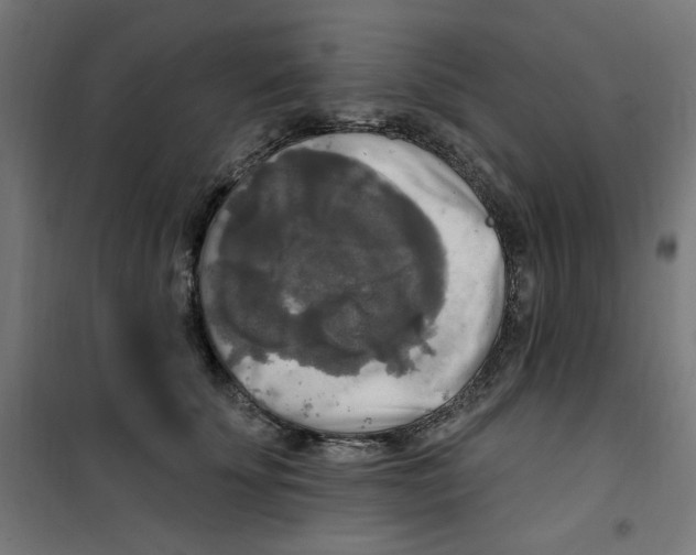 X0000100330707200807031235