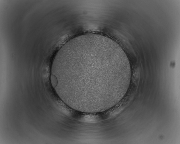 X0000100330708200807031235