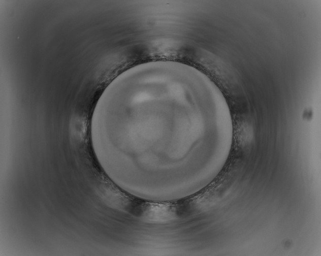 X0000100330709200807031235