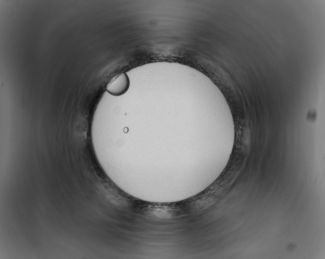 X0000100330710200807031235