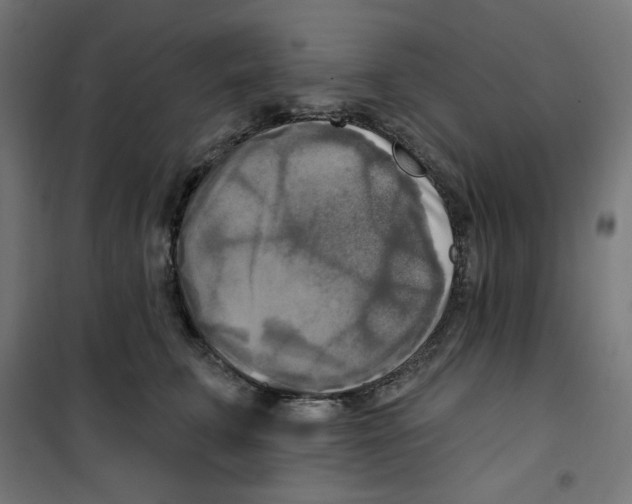 X0000100330711200807031235