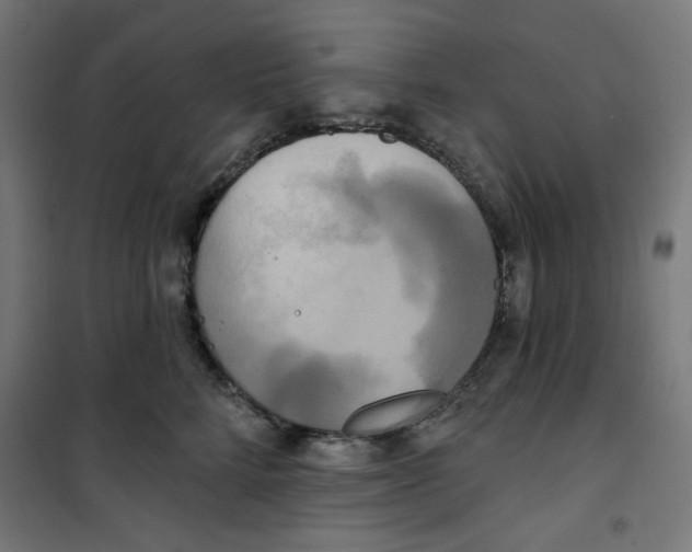 X0000100330712200807031235