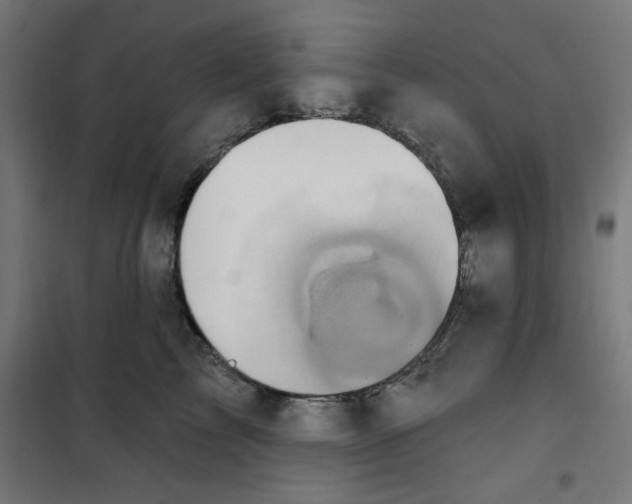 X0000100330713200807031235