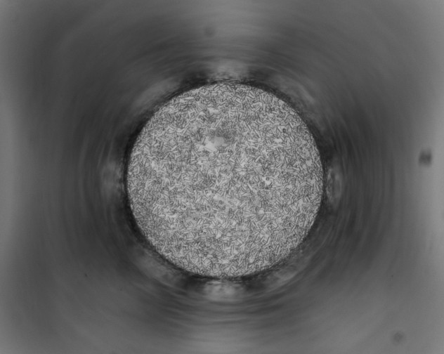 X0000100330714200807031235