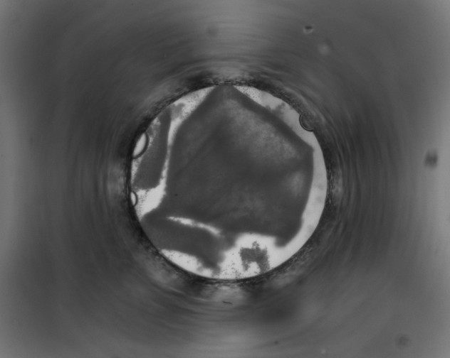 X0000100330715200807031235