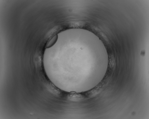 X0000100330716200807031235