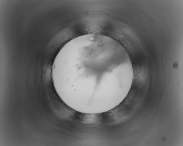 X0000100330717200807031235