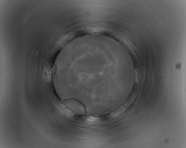 X0000100330718200807031235