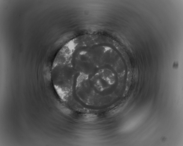 X0000100330719200807031235