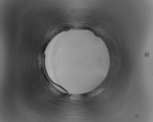 X0000100330720200807031235