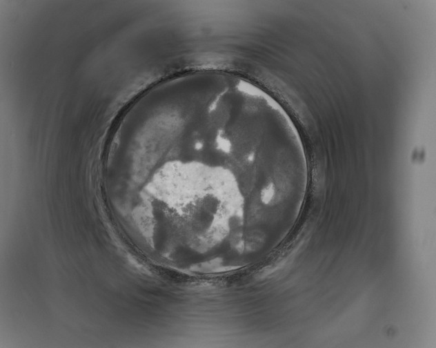 X0000100330721200807031234