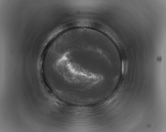 X0000100330723200807031234