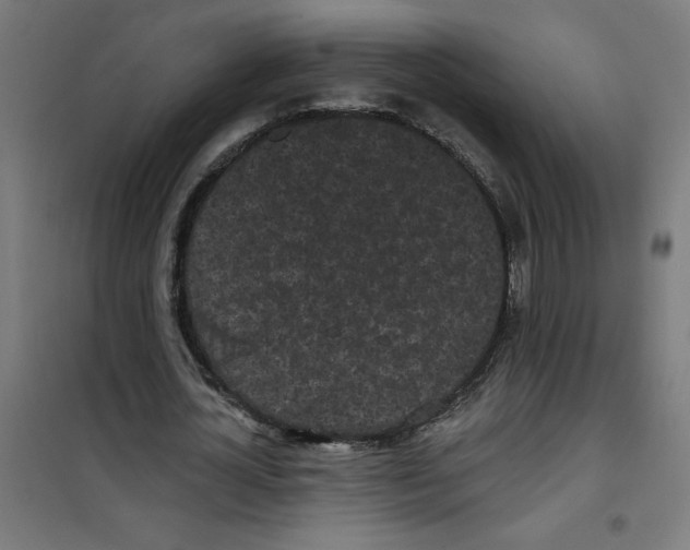 X0000100330724200807031234