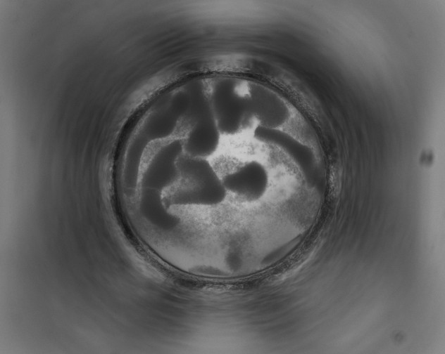 X0000100330725200807031234