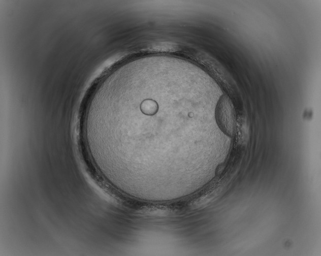 X0000100330726200807031234