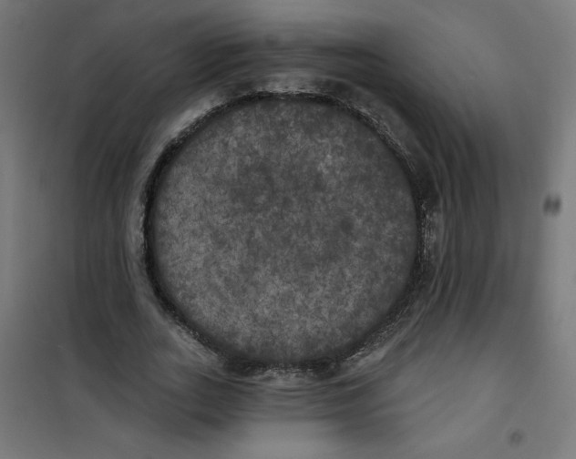 X0000100330727200807031234