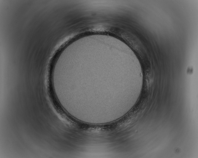 X0000100330728200807031234