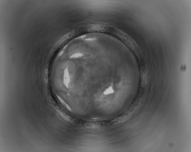 X0000100330729200807031234