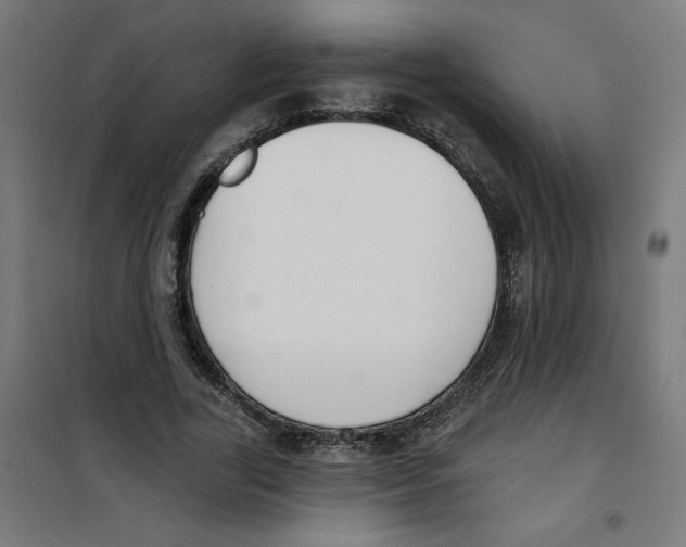 X0000100330731200807031234