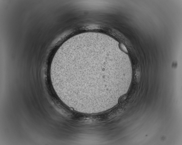 X0000100330732200807031234