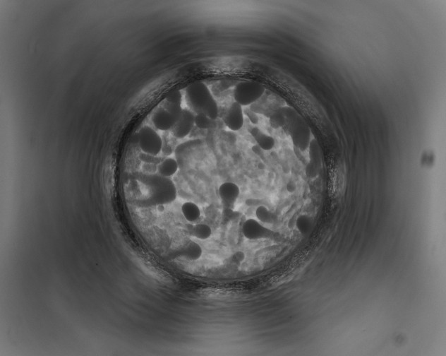 X0000100330733200807031234